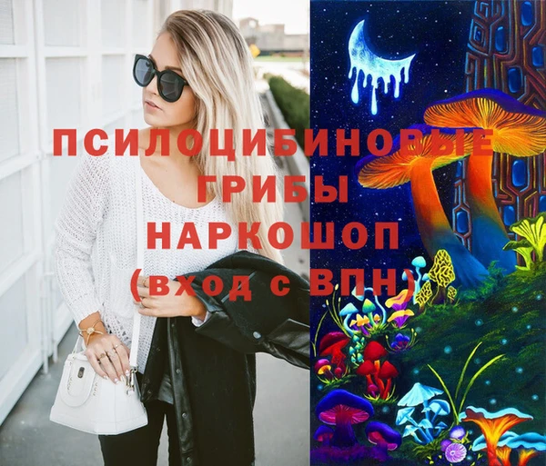тгк Гусь-Хрустальный