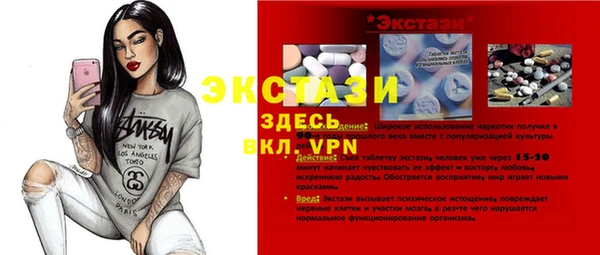 твердый Гусев