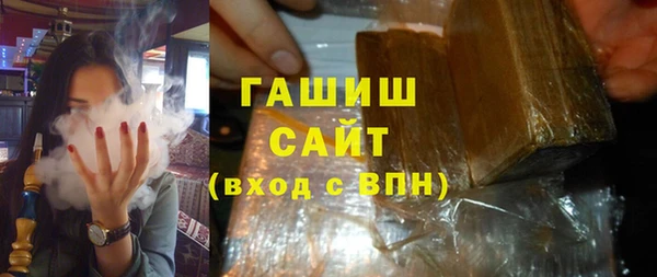 твердый Гусев