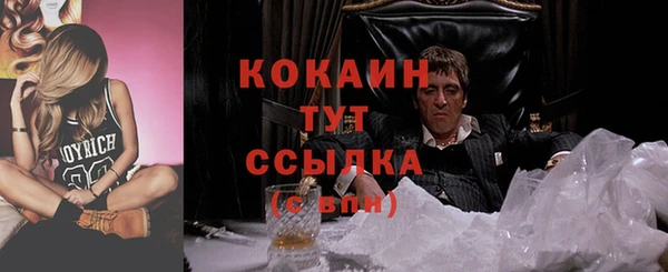твердый Гусев