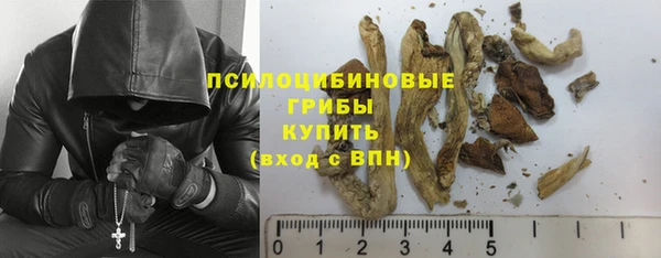 прущие крисы Гусиноозёрск