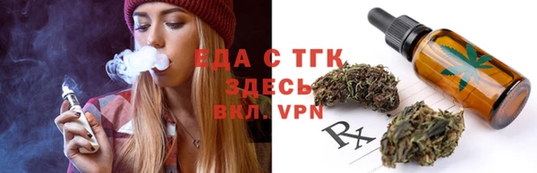 твердый Гусев