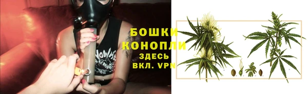 твердый Гусев