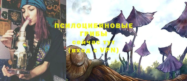 дживик Горно-Алтайск