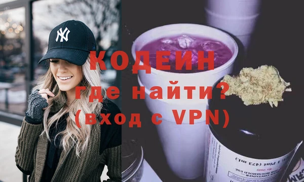твердый Гусев