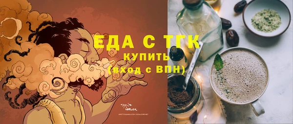 твердый Гусев