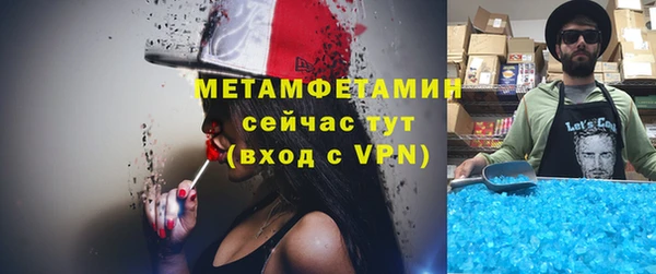 твердый Гусев