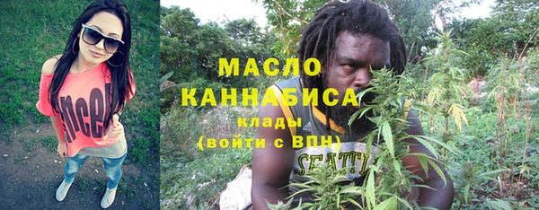 тгк Гусь-Хрустальный