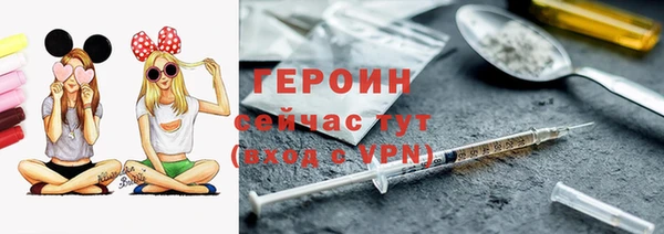 твердый Гусев